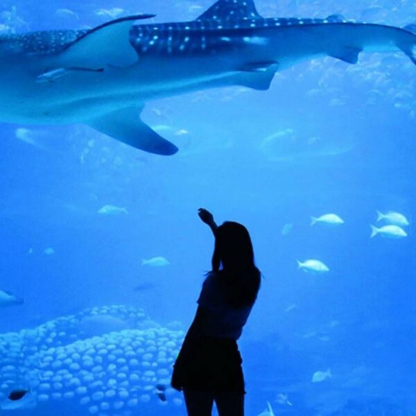 Ausflug zum Antalya Aquarium